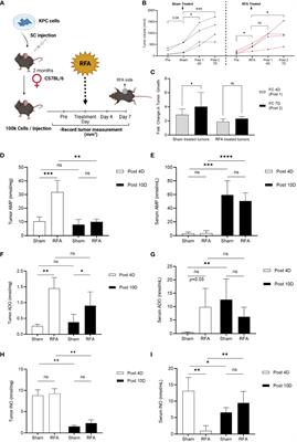 Radiofrequency ablation in combination with CD73 inhibitor AB680 reduces tumor growth and enhances anti-tumor immunity in a syngeneic model of pancreatic ductal adenocarcinoma